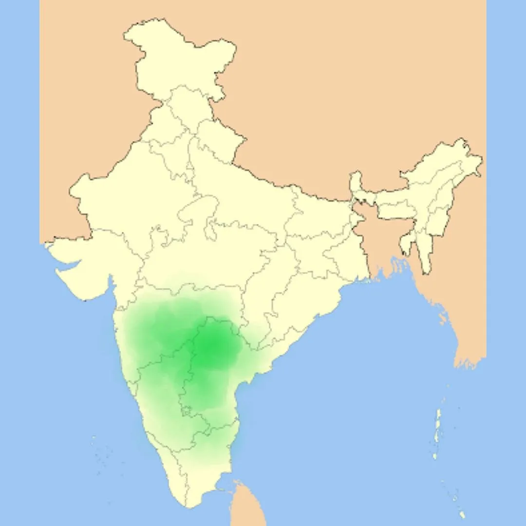 A map of the Dakhni-speaking regions in India. Image: Wikiwand 