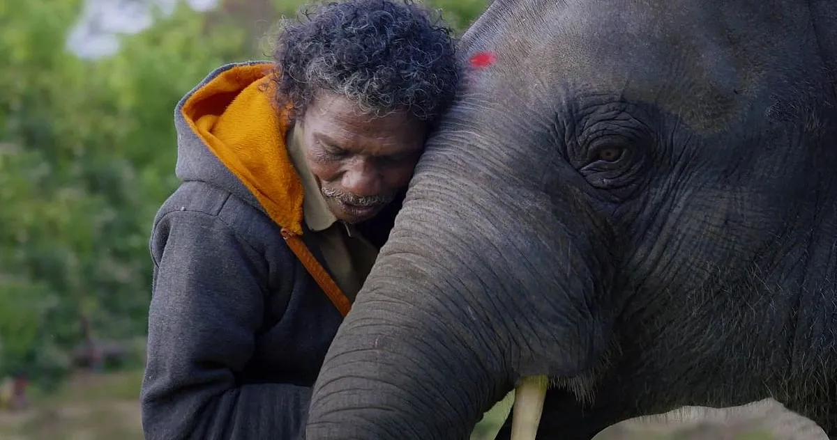 A still from Kartiki Gonsalves's The Elephant Whisperers, which won in the Best Documentary (Short Film) category at the 95th Academy Awards 