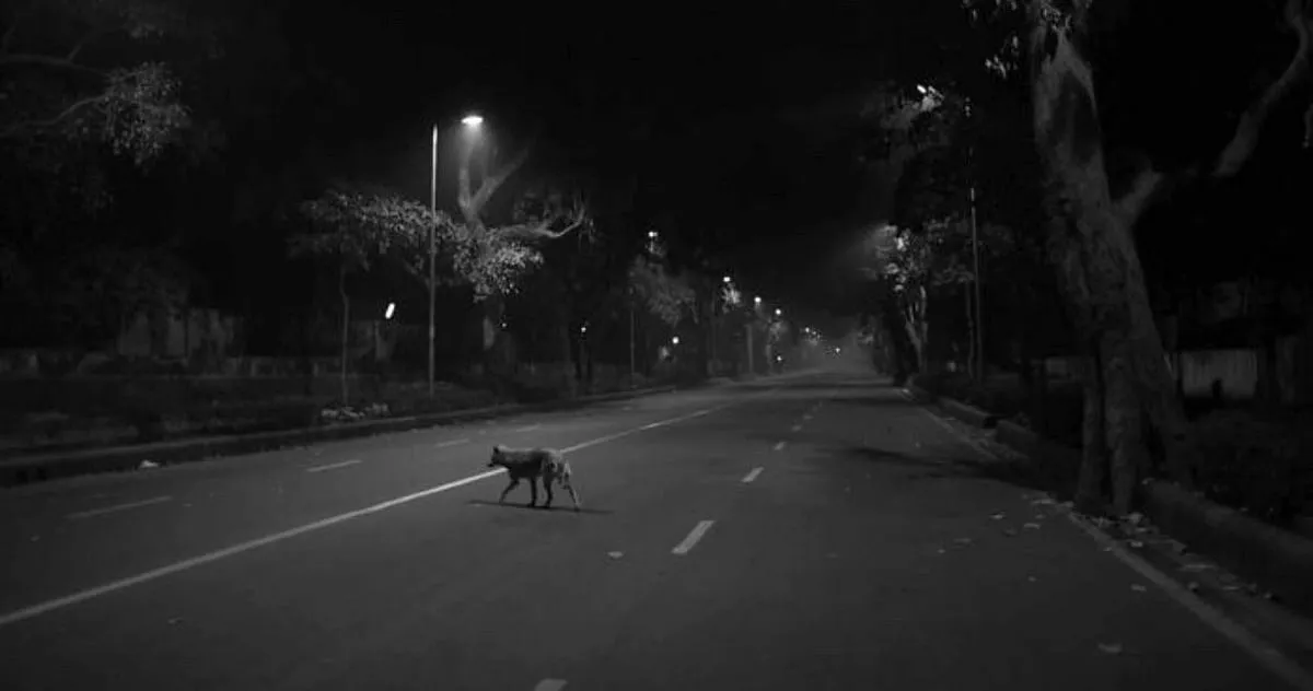 A still from Cities of Sleep (2015), directed by Shaunak Sen 
