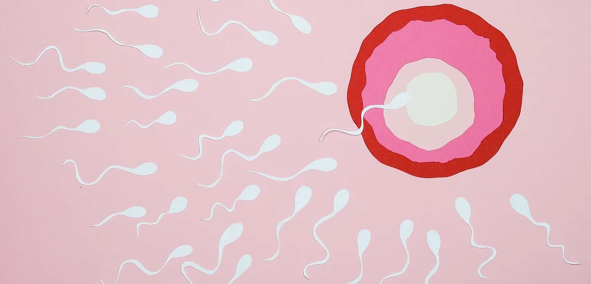 Men produce up to 200 million sperms per day, and it only takes one to fertilise an egg and cause pregnancy. Image: Pexels 