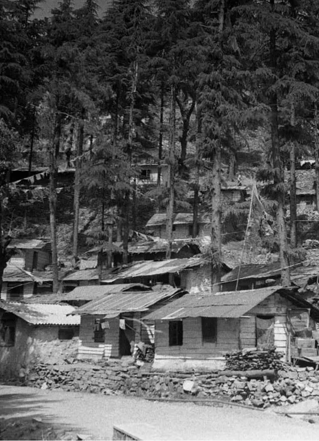 Tibetan houses along the Bhagsu road, Mcleod Ganj, Dharamshala, early-1970s. Image: The Tibet Museum 