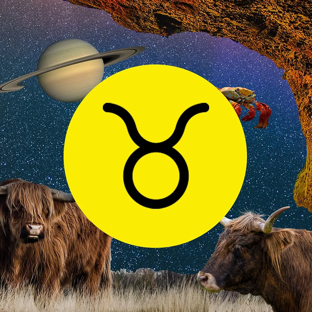 Taurus (April 20-May 20)Work will be stable with minor delays around 7th to 6th October. Important meetings will be set up around 6th to 11th October; these will yield results after the 23rd. Be more attentive at work as silly mistakes can take a toll on your relationship with seniors. You’ll work with new people/ clients or team members post 15th October. Those looking at changing your job will see positive results after 11th October. You might face some health issues till 16th October. Balance your eating patterns and take care of your throat and eyes. Family life will be stable, with minor friction with family members on and off. Avoid nagging your partner post 22nd October, as with their temperament, a small issue can escalate. Social life will be slow initially but will pick up pace after 10th October. You might have travel plans after 17th October. You’ll reconnect with people from the past post 14th October.Karmic tip: Be discreet about your life. 