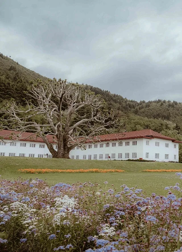The scene for their wedding had blue skies, snow-capped mountains, lush green hills, majestic Chinar trees, and the serene Dal Lake 