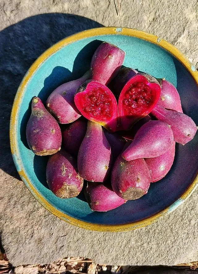 Chef Prateek Sadhu has been foraging for hyper-local produce and working with local industries in Himachal Pradesh. Image: instagram.com/restaurantnaar 