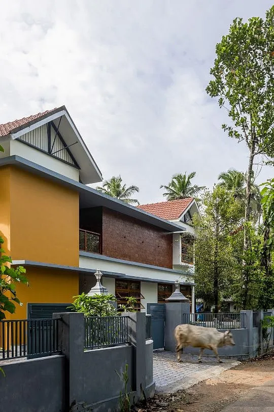 The home embraces the imperfections of the land it stands on 