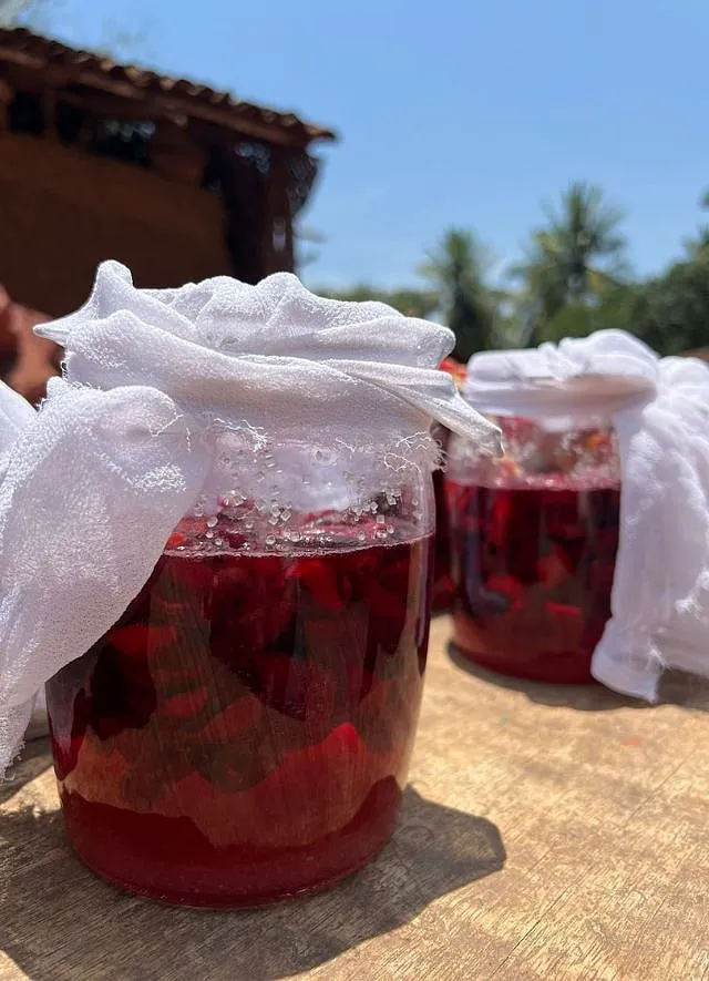Pickling and fermentation at Mother O Malvan 