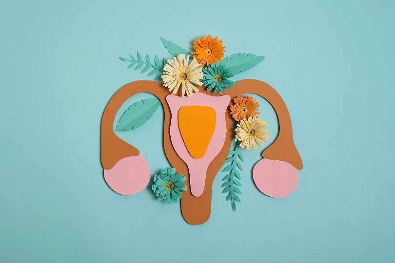 The parley isn’t about anti-IVF versus pro-IVF; it’s whether you need it or not, and whether you’re prepared for it or not. Image: Pexels 