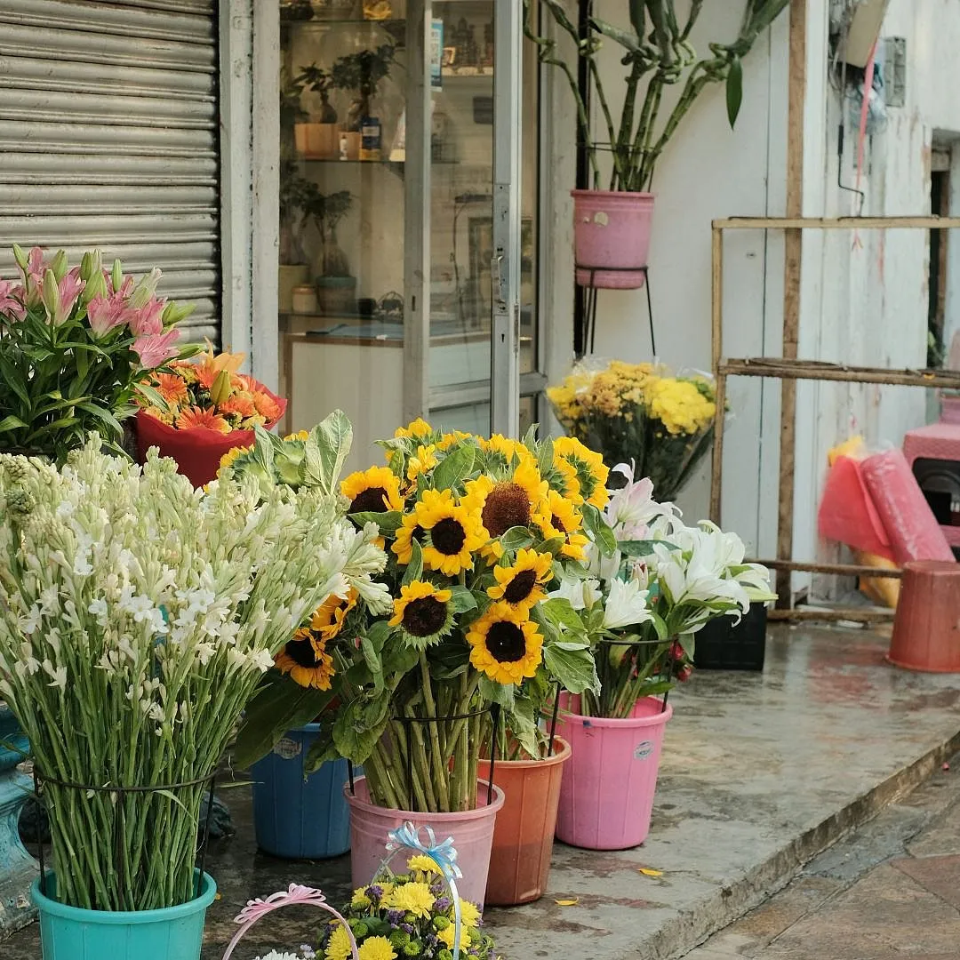  Slow travel compels you to find delight in the details. Image: Unsplash 