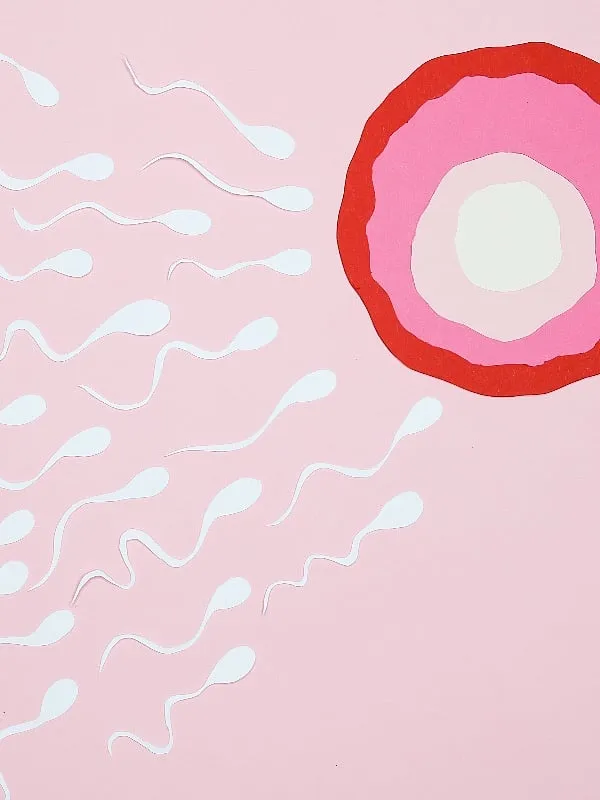 Not many doctors will explicitly tell you this but repeated IVF cycles have been linked to ovarian and breast cancer. Image: Pexels 