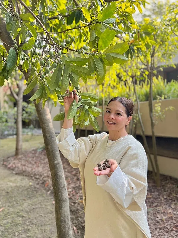 Discovering the richness of Tibetan medicine has been vital in my wellness journey, says Deanne Panday 