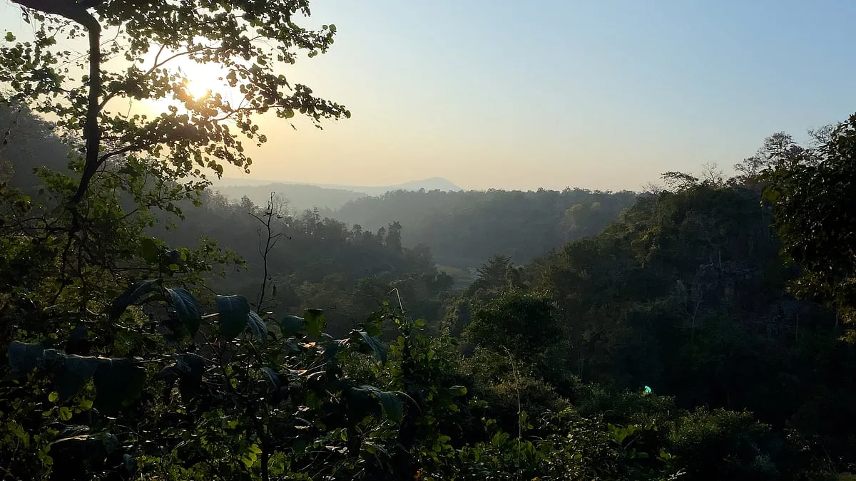 More than 80 per cent of the Hasdeo Arand Coal Fields are forested, according to the WII and ICFRE study 