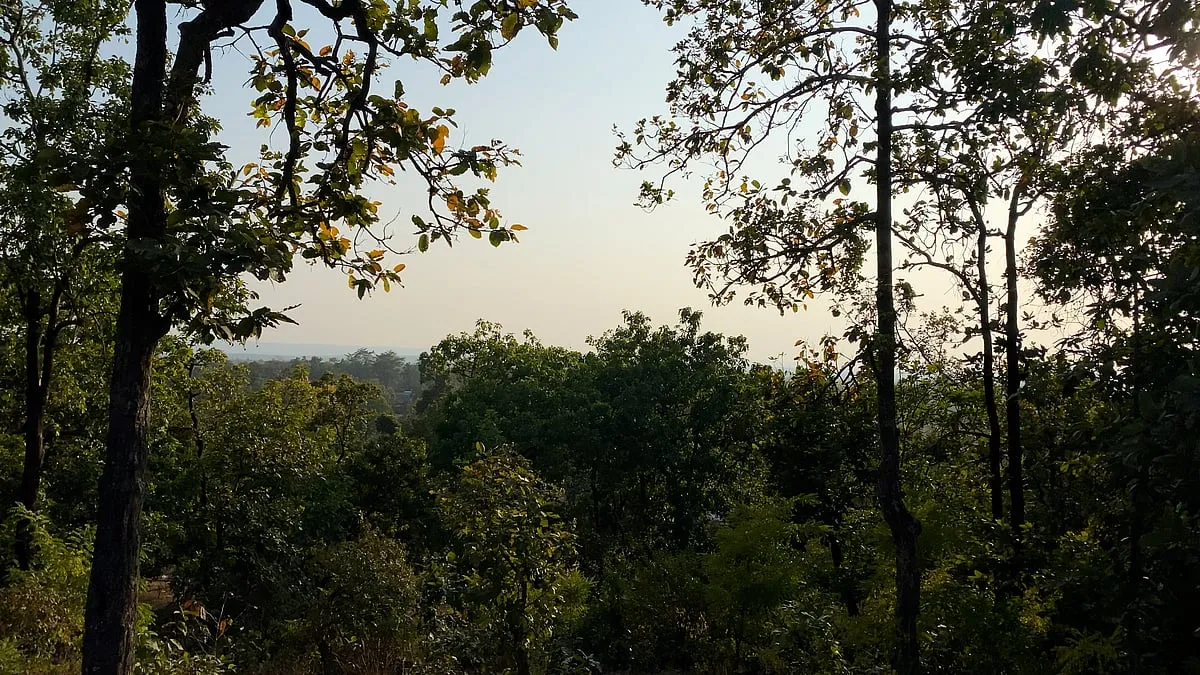 Spanning the state’s Korba, Surajpur and Surguja districts, the Hasdeo forest is often referred to as the lungs of Chhattisgarh 