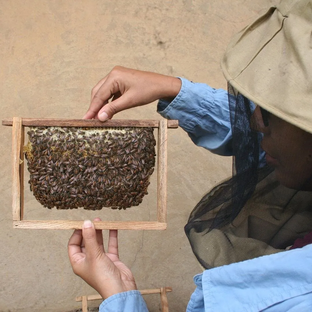 As a part of building community, Sengupta and Mazumder have been conducting residence workshops and courses on permaculture and natural farming 