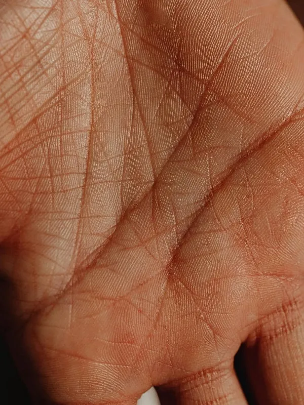 The three main lines studied in palm reading are the Life Line, the Head Line (also called the Wisdom Line), and the Heart Line. Image: Pexels 