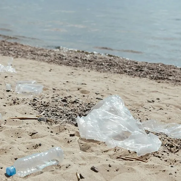 In India, 36 per cent of women use sanitary pads, generating up to 12.3 billion sanitary napkins as waste. Image: Pexels 