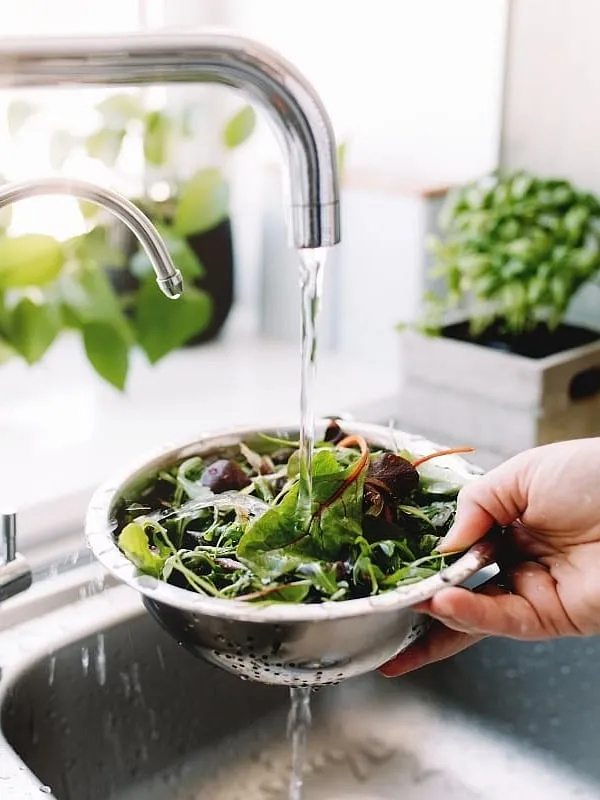 Make greens like kale, Swiss chard and spinach a part of your diet. Image: Pexels 