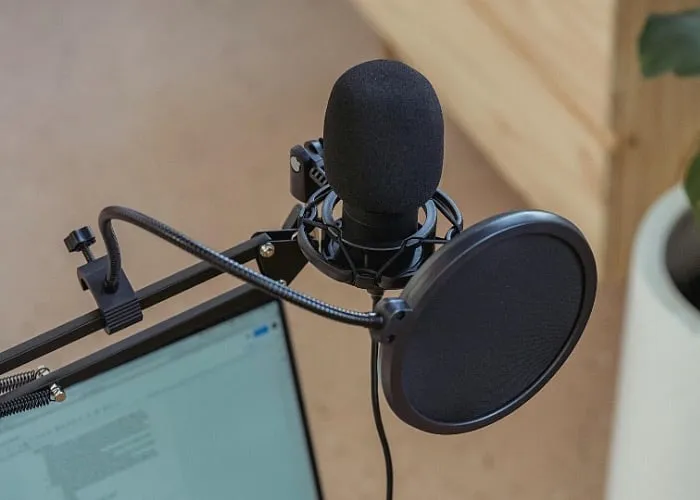 Back in 2005, Tanuja Chandra remembers being introduced to a software called “Pro Tools” that could turn a less-than-average singer into a maestro with the click of a button. Image: Pexels 
