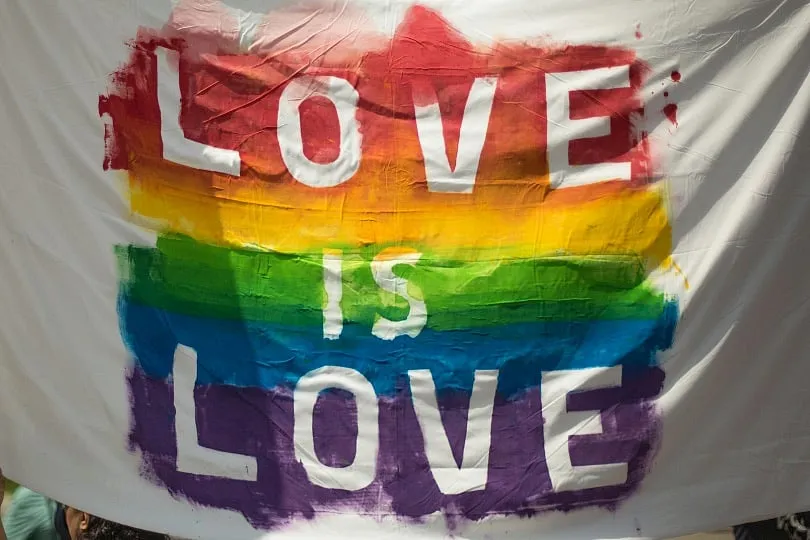 publive-image