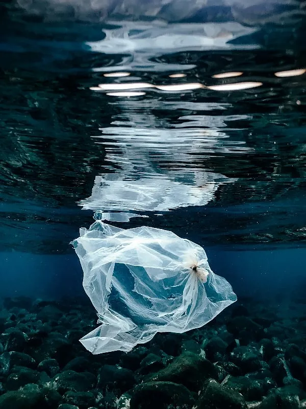 “The truth is that [any] plastic is great for business but not for health,” says Humera Amboli, pointing out that an overuse of plastic undermines sustainability, while also harming human health and marine life. Image: Pexels 
