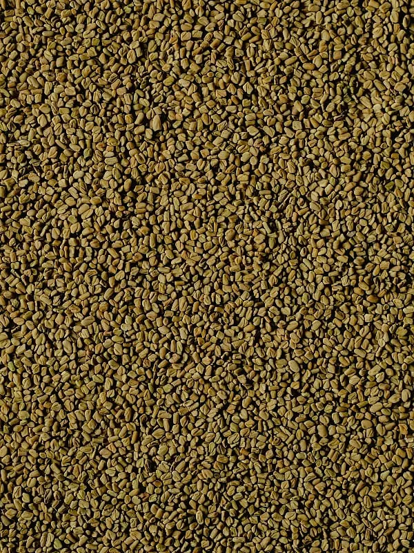 Methi can soothe inflamed scalps and help with hairfall and dandruff. Image: Pexels 