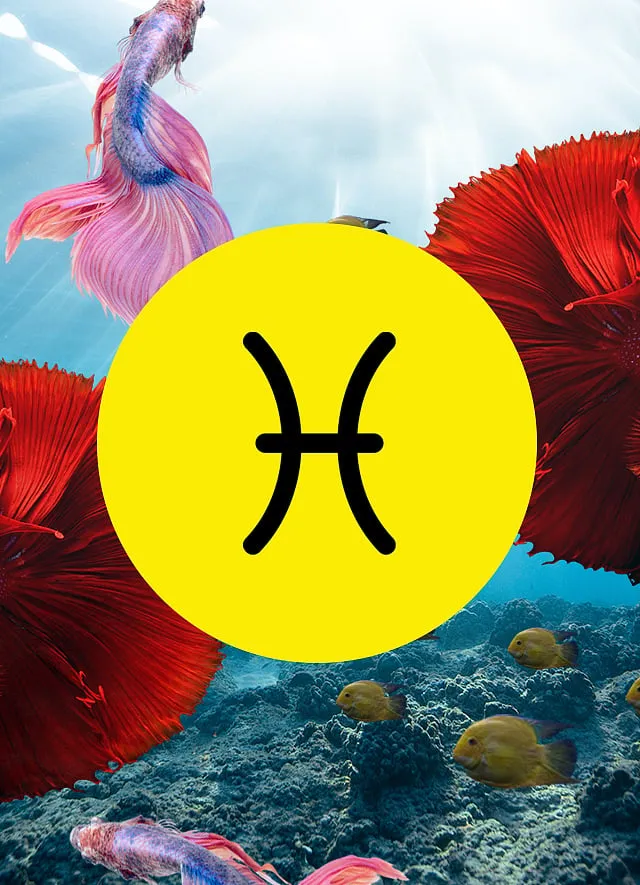 Pisces will be stressed about a close family member but expect things to get sorted after the 26th 