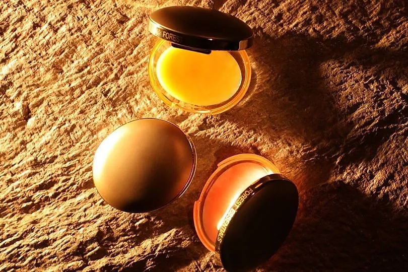 Forest Essentials’ Luscious Lip Balm is a good on-the-go product. Image: @forestessentials 