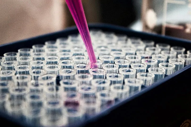 The success rate depends on multiple factors, from the quality of the embryo at the time of freezing to its condition after thawing. Image: Unsplash 