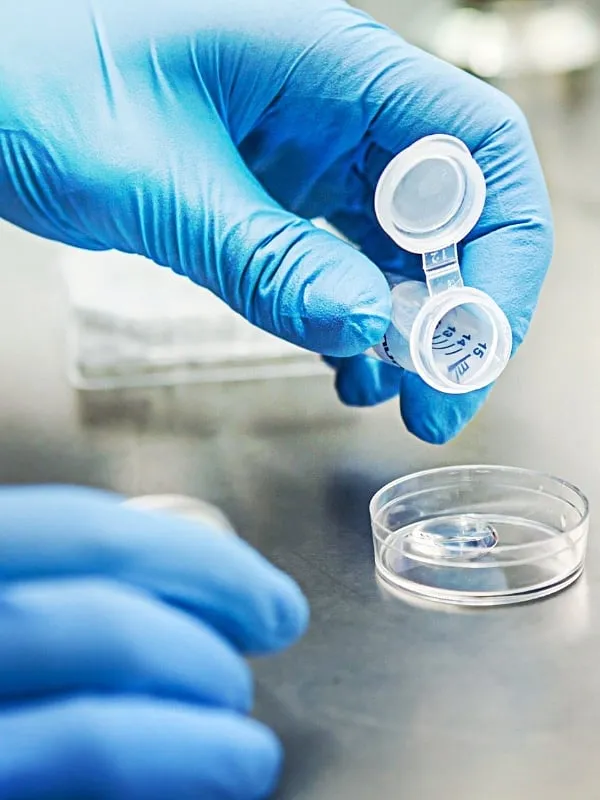 The notion of egg freezing as a ‘safety net’ does not always capture the reality of its limitations. Image: Pixabay 