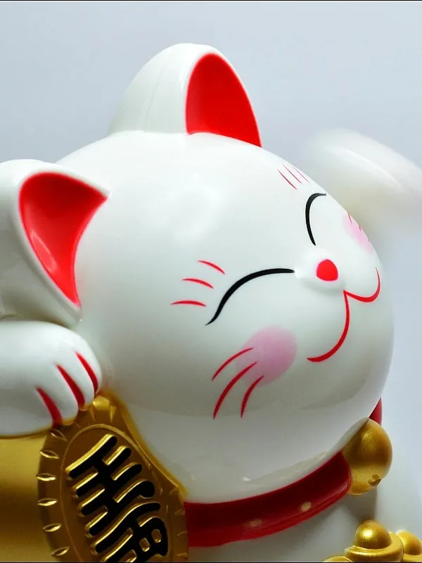 An Aquarian's intuition helps them manifest a new crush. Image: Pexels 