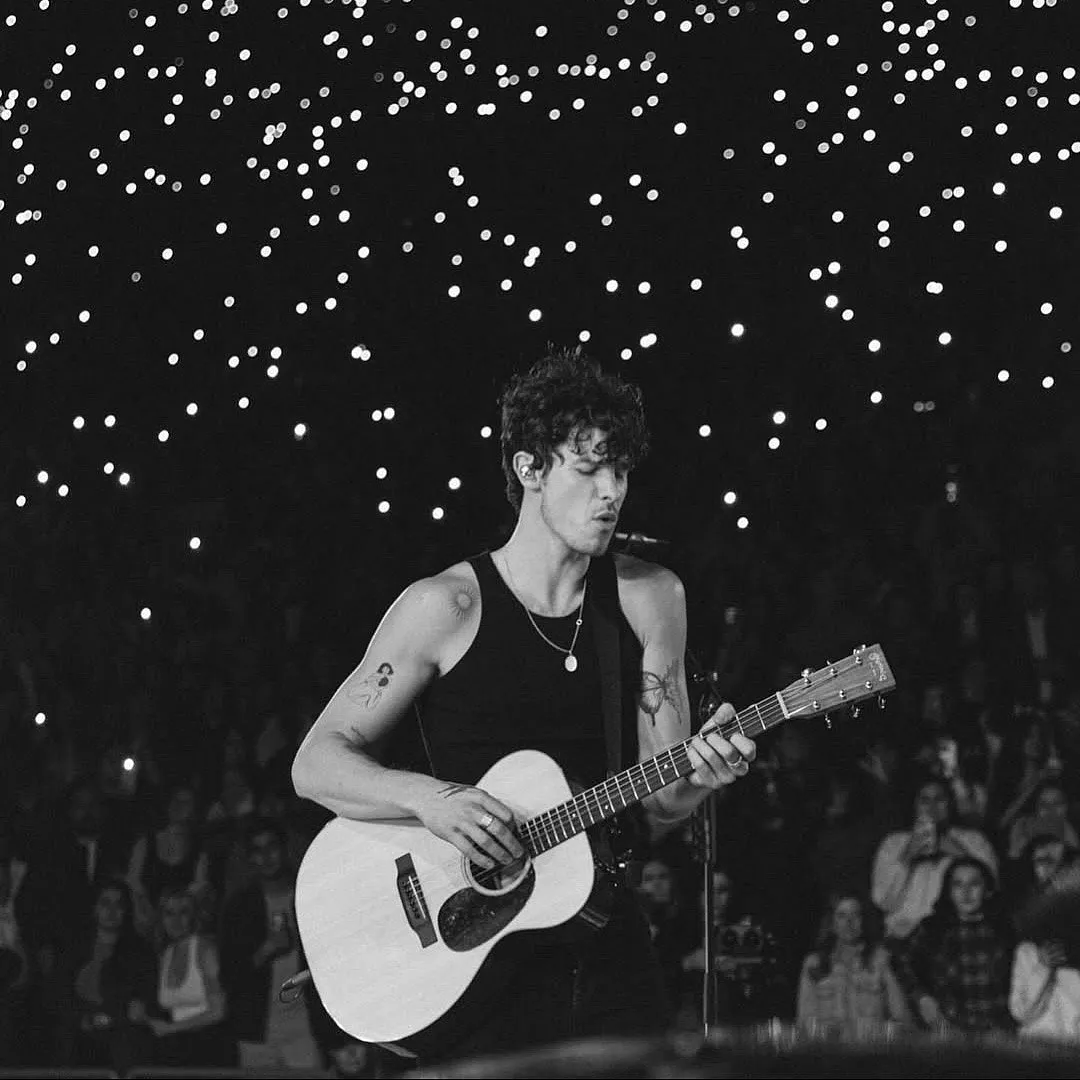 Shawn Mendes will making his India debut at the third editon of Lollapalooza India in 2025. Image: Insatgram/shawnmendes 