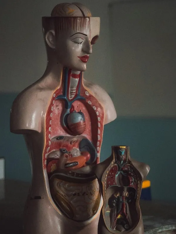 When there is inflammation, your body is constantly under a fight-or-flight mode. Image: Unsplash 