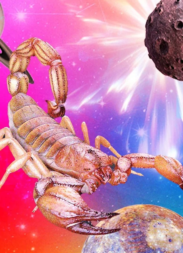 If you're a Scorpio, expect an important meeting around 18th to 23rd March to work in your favour 