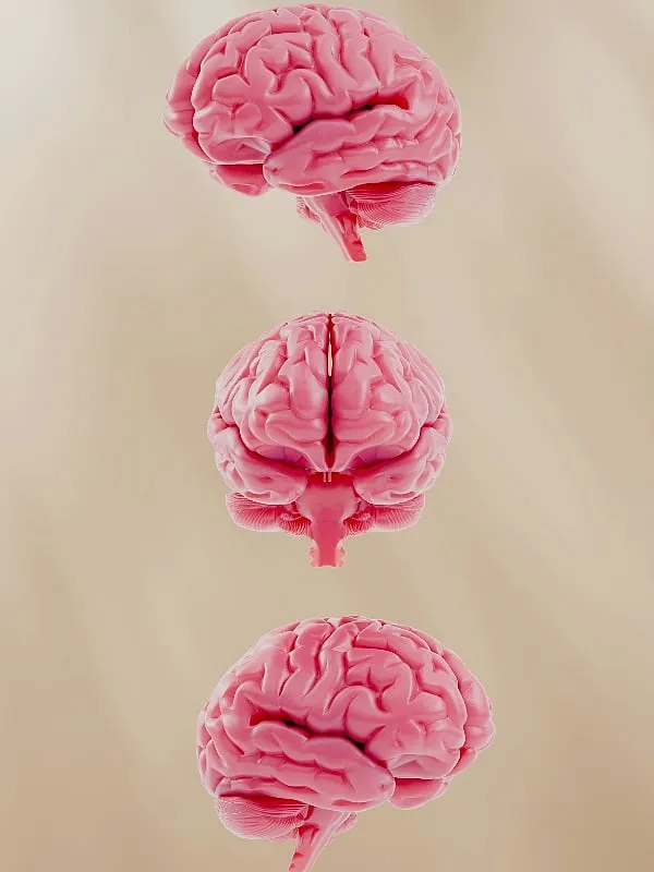 Magnesium regulates several neurotransmitters involved in mood, stress response and cognitive functions of the brain, says Dr Ashutosh Shah. Image: Unsplash 