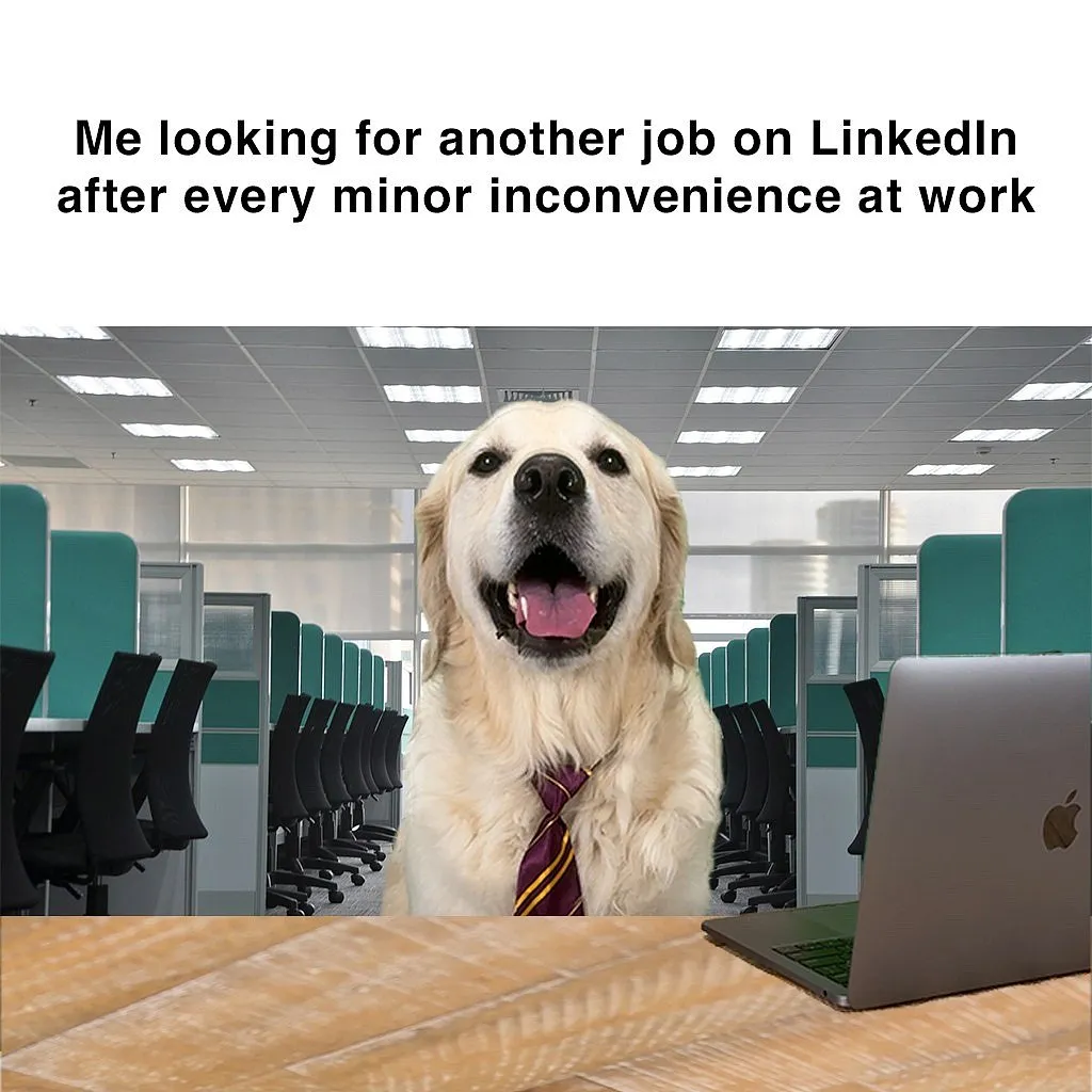 LinkedIn is one of the few platforms where a single profile can grant access to thousands of job listings, industry insights, and opportunities. Image: Instagram.com/passtherigatoni 