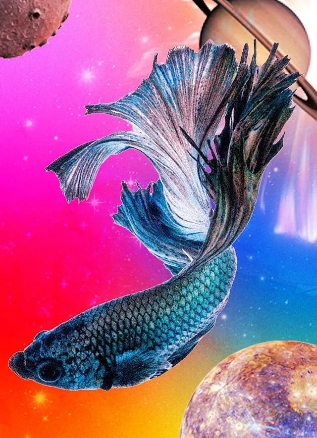 For Pisces, family life will be stable and enjoyable, while social life will be slow until 18th April  