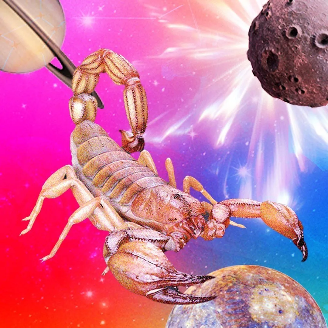 Scorpios thinking of quitting a deal/job due to stress, should wait it out to gain some clarity 