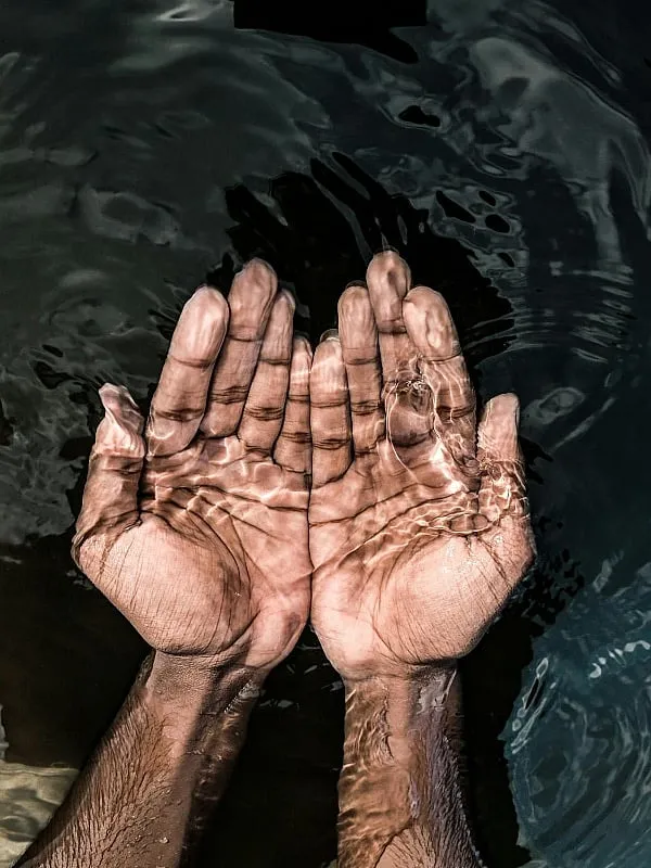 “Consumers increasingly view their bodies as ecosystems, seeking holistic solutions for both mental and physical well-being,” notes Adriana Heinzen. Image: Pexels 