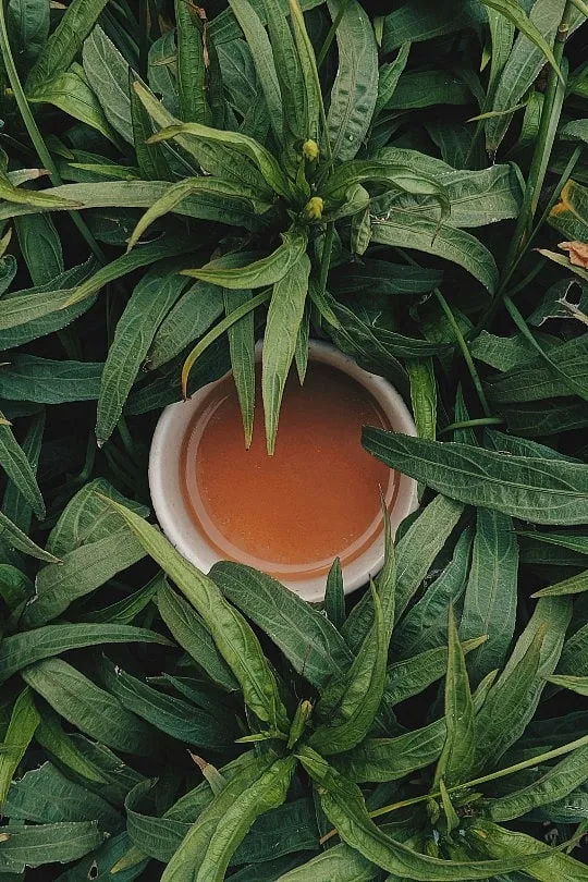 Many Indians are unfamiliar with the depth of their own culinary traditions. In Kashmir, for instance, chai brewed with milk and sugar is casually called ‘Lipton Chai’. Image: Unsplash 