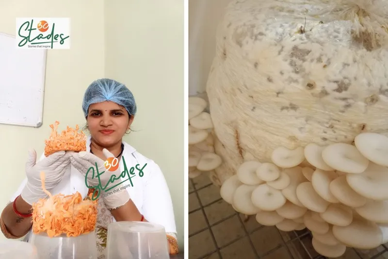basu-choudhari-exotic-mushroom-cordyceps-30stades