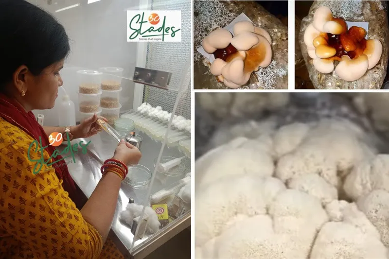 basu-choudhari-exotic-mushroom-ganoderma-30stades