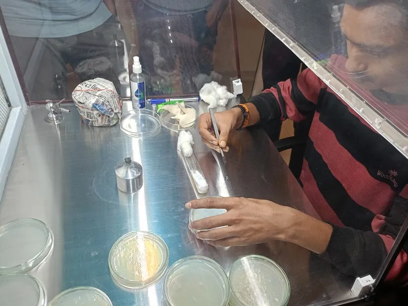 basu-choudhari-exotic-mushroom-lab-staff-30stades