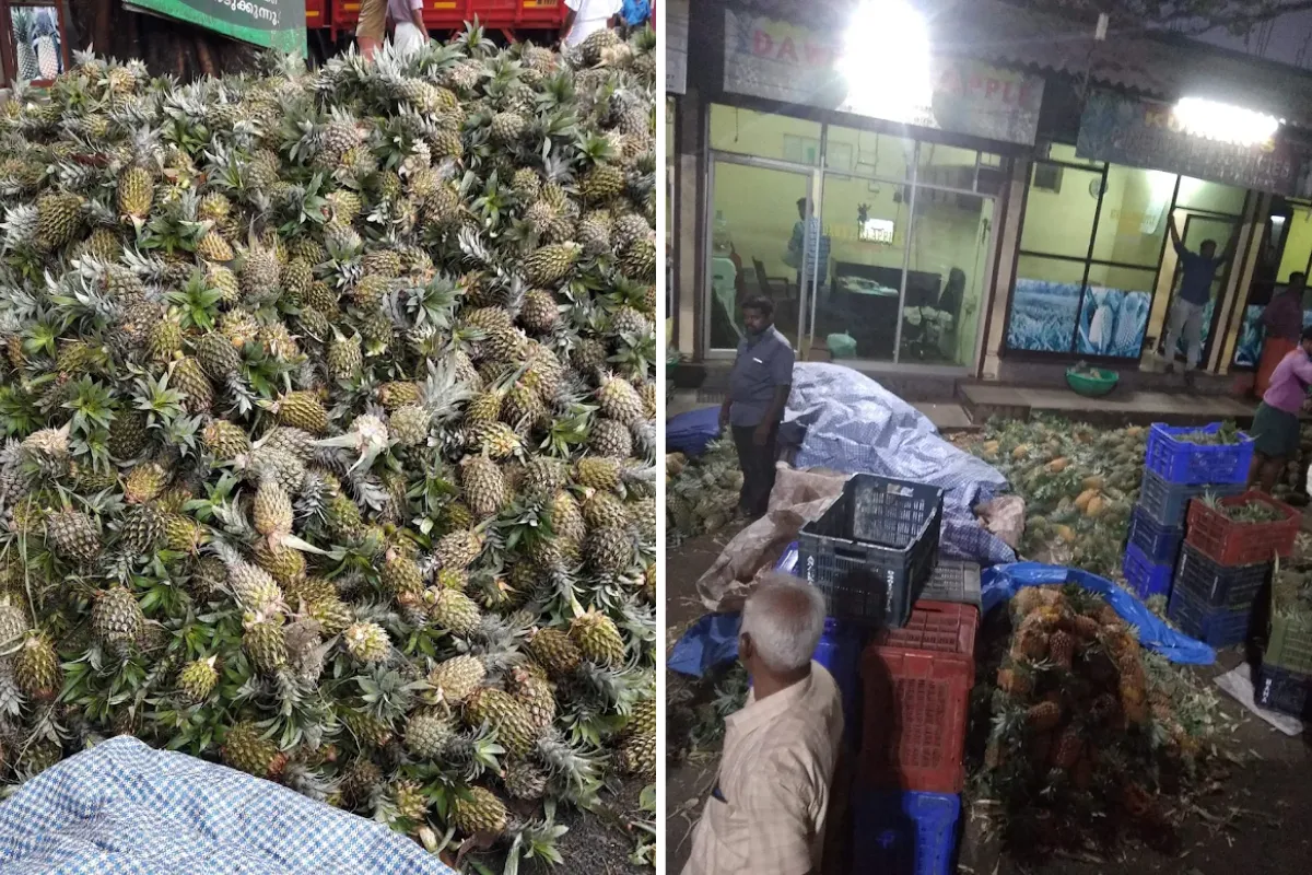 Vazhakulam pineapple market