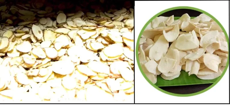 josemon-agri-drying-kerala-tapioca-30stades
