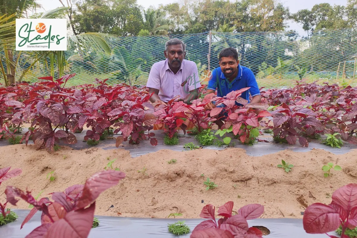 why-organic-farming-profitable-rajesh-renjith-alleppy-30stades