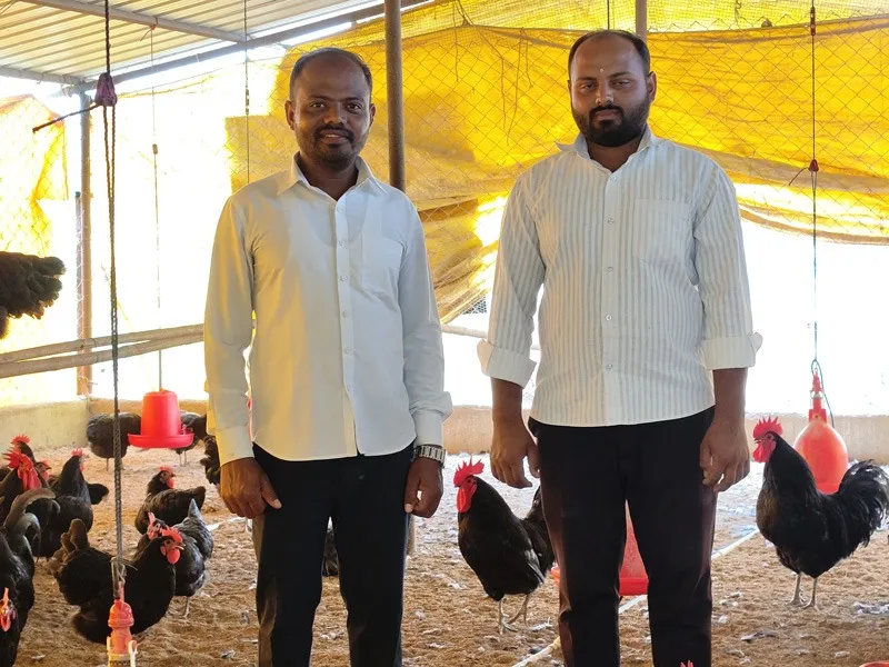 arun-shinde-Australorp-hens-friend-30stades