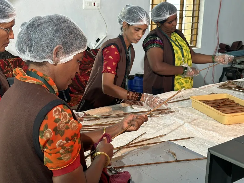 sunbird-straws-shaji-coconut-leaf-straws-final-stages-30stades