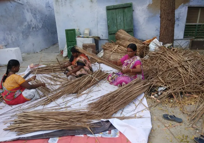 sunbird-straws-shaji-varghese-sorting-dry-leaves-30stades