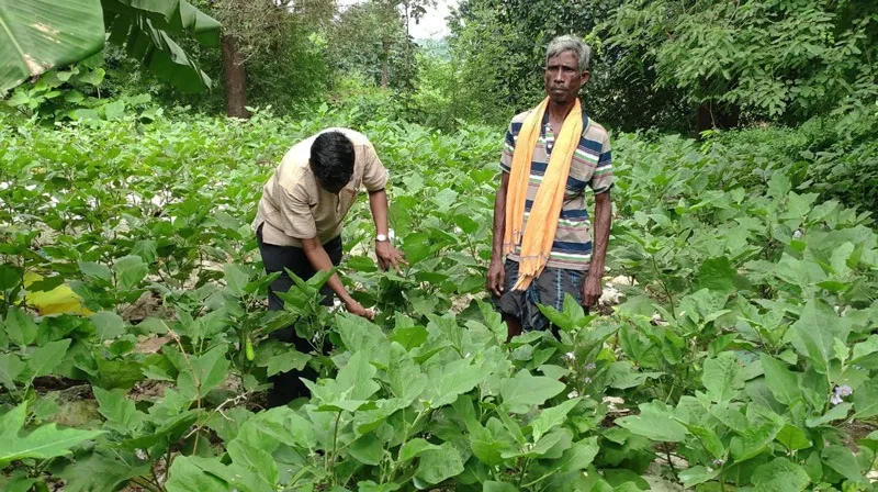 Nutri-gardens-organic-odisha-Dr-lele-30stades