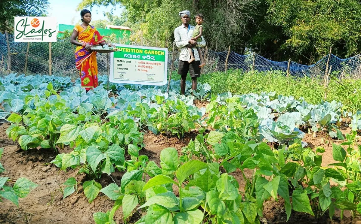 Nutri-gardens-organic-odisha-tribal-couple-30stades