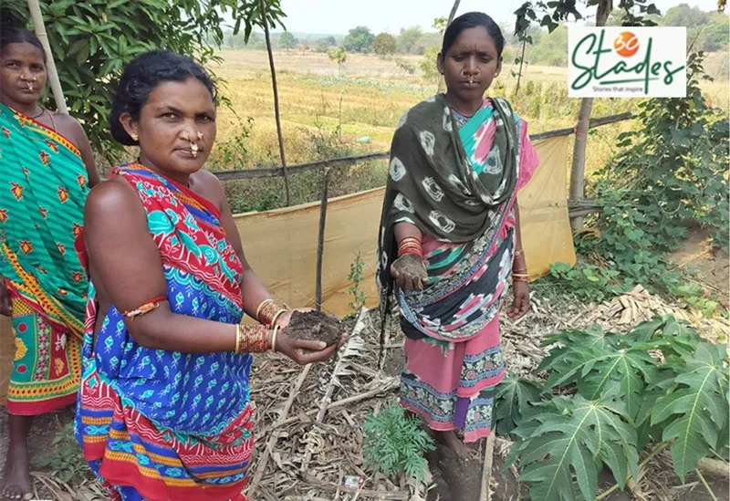 Nutri-gardens-organic-odisha-tribal-manure-30stades